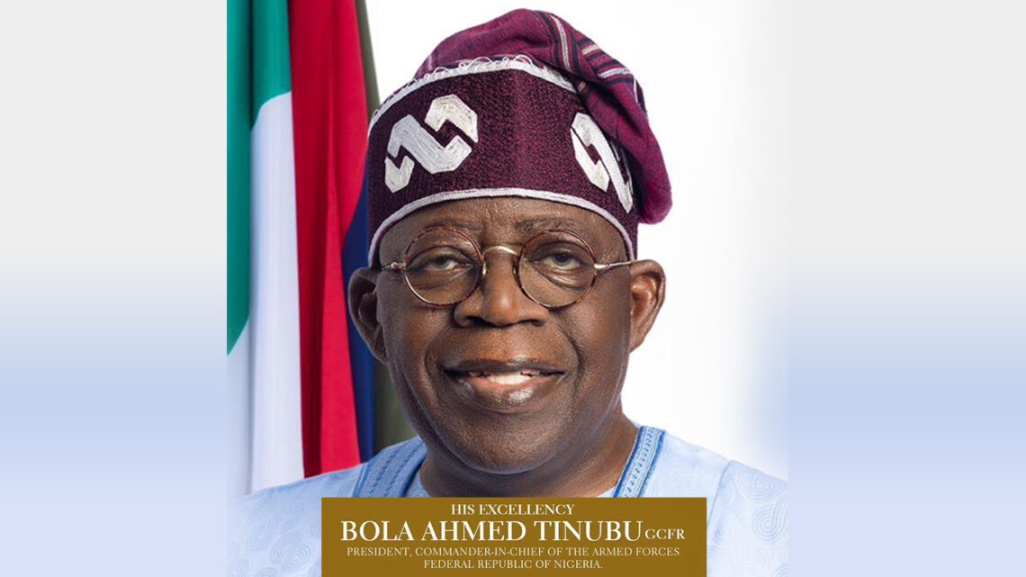 Remittances: NIDCOM Hails Tinubu’s Administration, CBN On Naira Payout