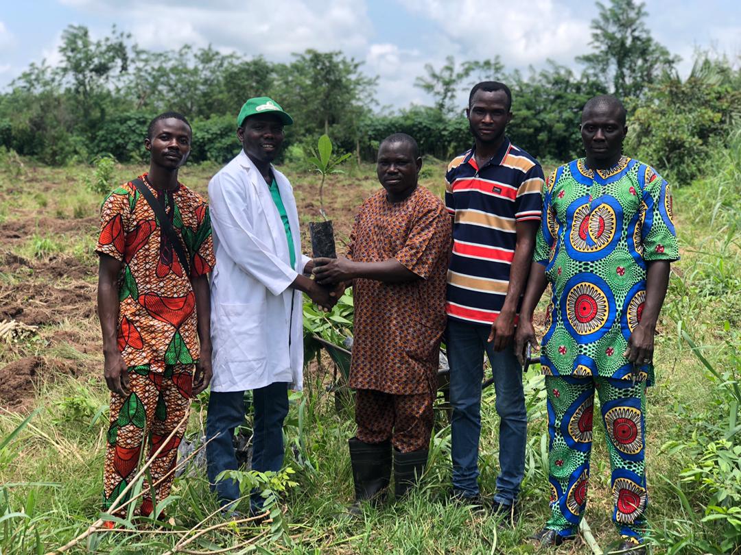 Èkìtì State Ministry of Agric, USDA, West Africa PRO-Cashew Project Establish Scion Garden and Polyclonal Cashew Demo Farm