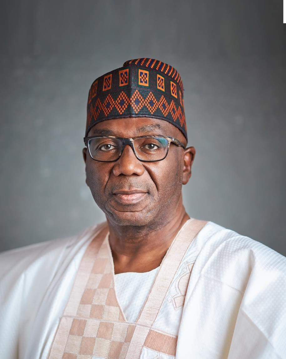 Kwara Gov Names STEM Expert Dr. Ariyike Salau Special Adviser on Education, Others