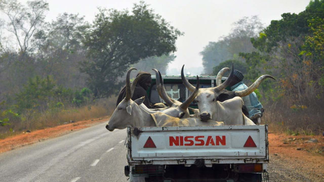 Trucks Carrying Humans, Animals Together Will Be Impounded, FRSC Warns