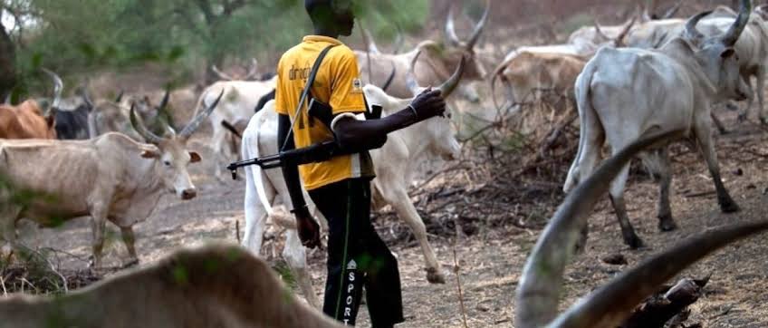 Fulani Terrorists Write Plateau Communities, Inform Them of More Attacks Days After Killing Over 160