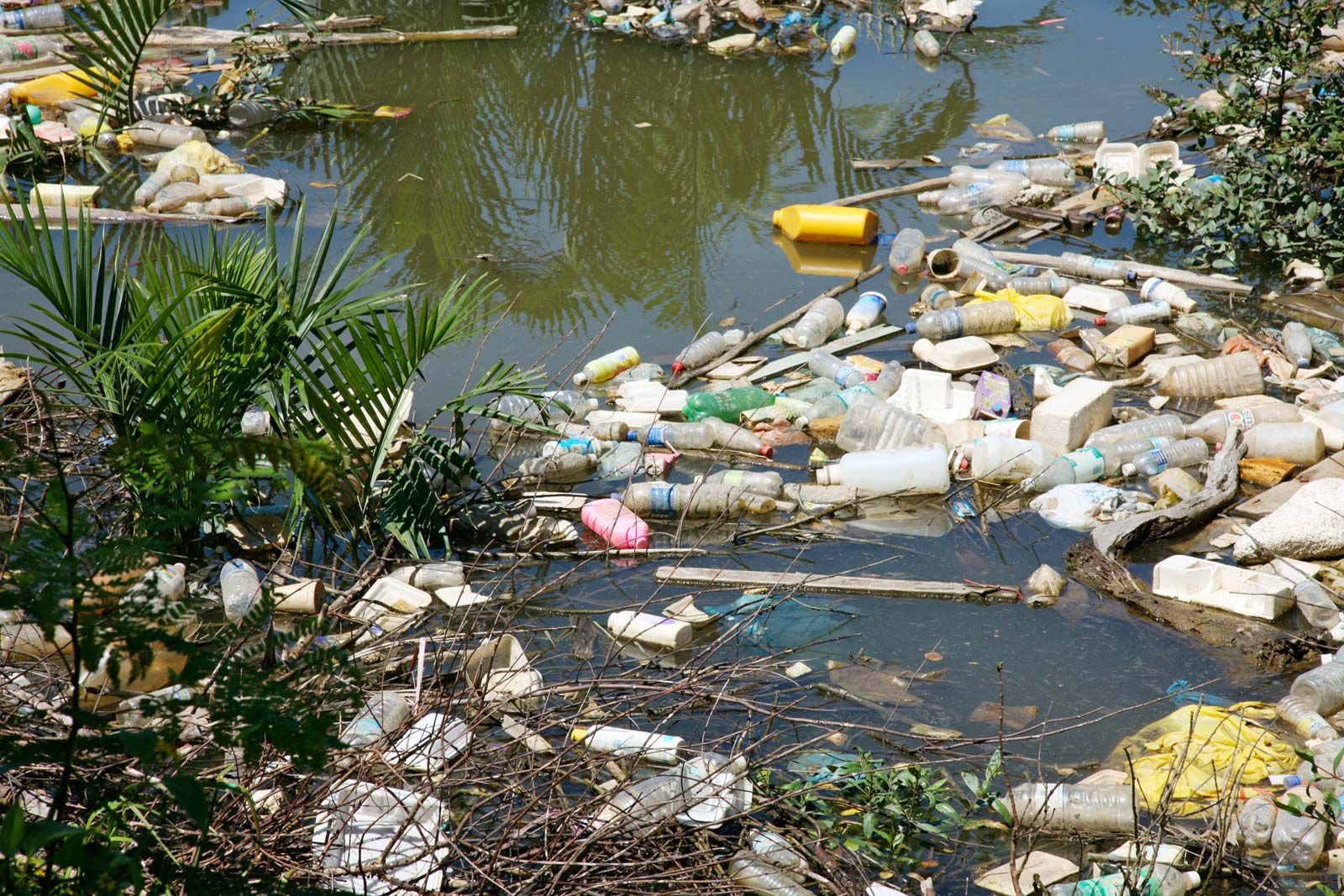 Plastic Pollution in Osun River Highest Globally — FUTA Research