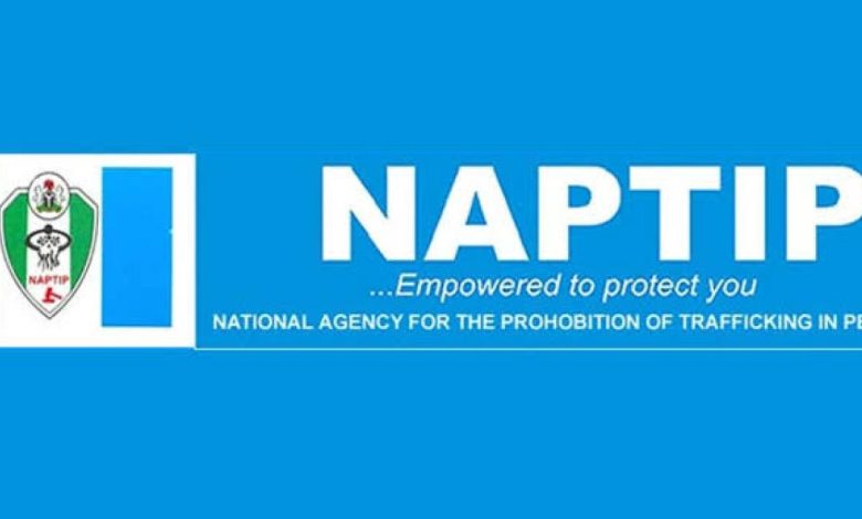 NAPTIP Drags Enugu Resident to Court for Sexual Exploitation of Minor