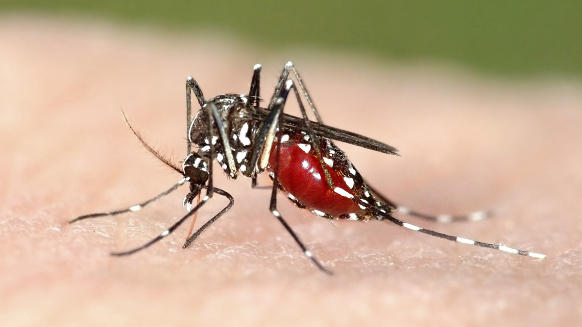WMD: Tinubu’s Aide Takes Malaria Eradication Campaign to Makoko Slum