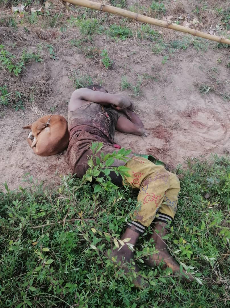 Fulani Herdsmen attacks again, claims another farmers life in Ondo State