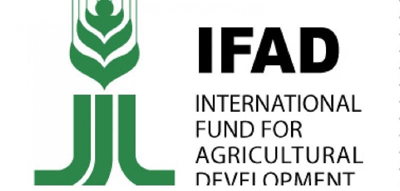 IFAD urges global leaders to support small-scale farmers in biodiversity conservation at COP16