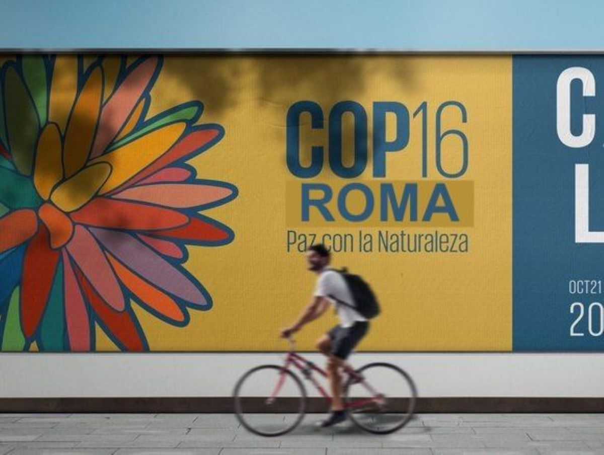 UN Biodiversity conference to reconvene in Rome, Italy, in February 2025