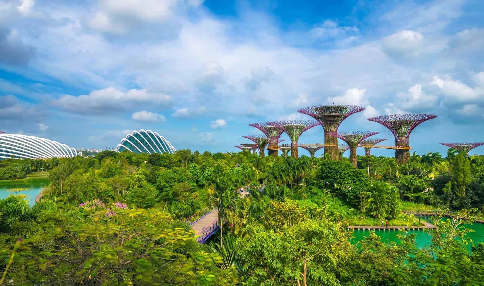 Whole Planet Initiative launches ambitious biogarden project in South-West Nigeria