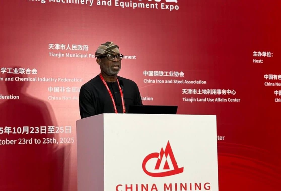 DELE ALAKE: CHINESE FIRMS HAVE INVESTED $1.3BN IN LITHIUM PROCESSING SINCE I ASSUMED OFFICE