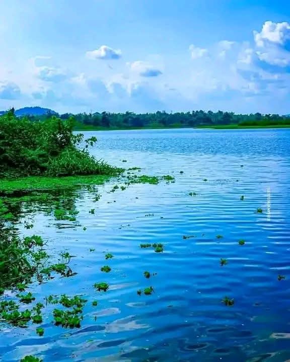LAKE 🇳🇬🌊: Eleyele Lake, created in 1942 through the Eleyele Dam on the Ona River, remains a breathtaking natural masterpiece in Ibadan, admired for its calm beauty, scenic atmosphere, and strong appeal as one of the most charming tourist attractions in Oyo State.