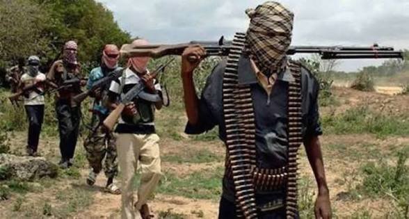 BREAKING 🇳🇬🚨: Doctor and Wife Kidnapped in Kogi Attack – Gunmen stormed a community in Kogi State, abducting a medical doctor and his wife.