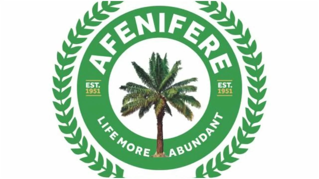 Afenifere Blames Northerners for Banditry Crisis: “Failure to Tackle Insecurity Is Creating Problems for All Nigerians”