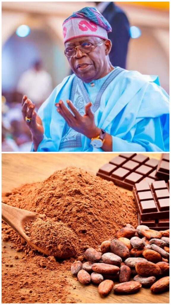 BREAKING: Tinubu Declares War on Raw Cocoa Exports – “Nigeria Will No Longer Export Beans, Will Process Locally”