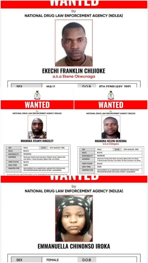 NDLEA declares ‘developers’ drug kingpin Nnamuka Uchenna, Ekechi Franklin, Nnamuka Ifeanyi and Emmanuella Chinoso wanted, freezes N9.8bn linked to syndicate