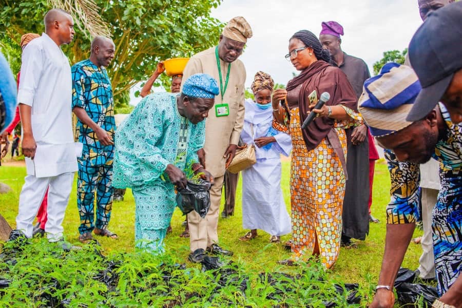 Okeho Hosts Massive Tree Planting Drive as Over 500 Farmers, Students Join University Initiative