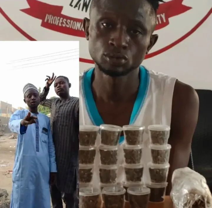 Court Sentences Kano Man to Seven Years for Advertising Cannabis on Social Media