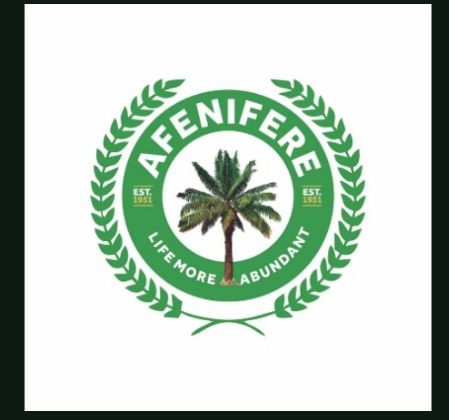 Afenifere Seeks Review of State Police Bill, Warns Against Abuse by Governors