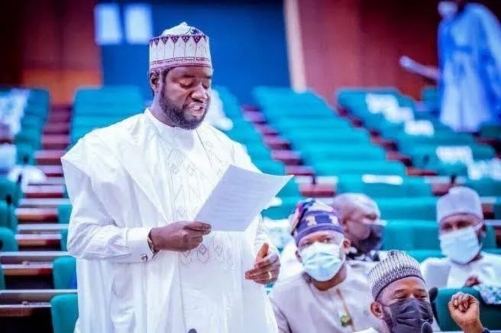 BREAKING: House of Representatives Orders IGP to Produce Self-Acclaimed Fake Agency DG, Adeyemi Adeniyi, Within 48 Hours