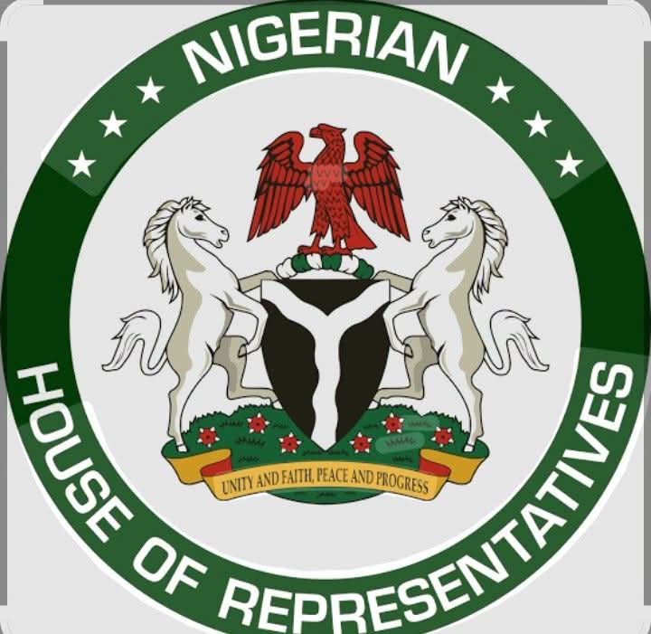 Reps Committee Uncovers 12 More Allegedly Fake Agencies, 58 Bank Accounts Linked to PFIPC DG