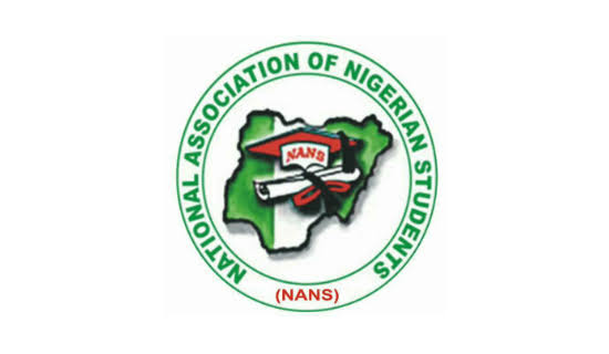 NANS Fires Back at Dino Melaye Over NELFUND Claim, Calls Him ‘Dolt’ and ‘Uninformed Dullard’