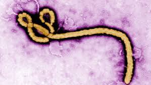 FG Confirms Ebola Case in Abuja, Begins Contact Tracing for 44 People